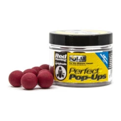 Zeer Complete Carp Tacklebox -VisMeester Verkoop 3b2b77cf750dcdc2