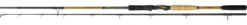 Quantum G-Force Shad & Swimbait Spinning 2,40m (35-150g) -VisMeester Verkoop 45d867cf09c1ed02