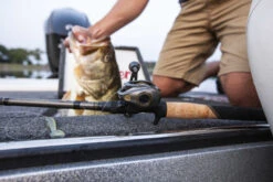 Lew's Custom Pro Topwater Special 2,03m (4-14g)