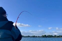 Patriot Pikehound Hyrräkelavapa 239cm <120g