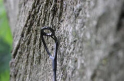 Ashima FFX-P 10ft 3lb 7 Ashima FFX-P 10ft 3lb -VisMeester Verkoop 6d1300dab89f2583