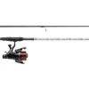 Mitchell Catch Pro Carp Combo 3,00m (3lb) -VisMeester Verkoop 7c28afb5612b9bd2