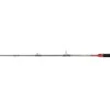 PENN Conflict Trolling 2,13m (20-30lb) -VisMeester Verkoop 922647c36302b812