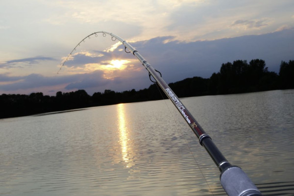 Voorkant -VisMeester Verkoop e857d7ea72b0caaa 1